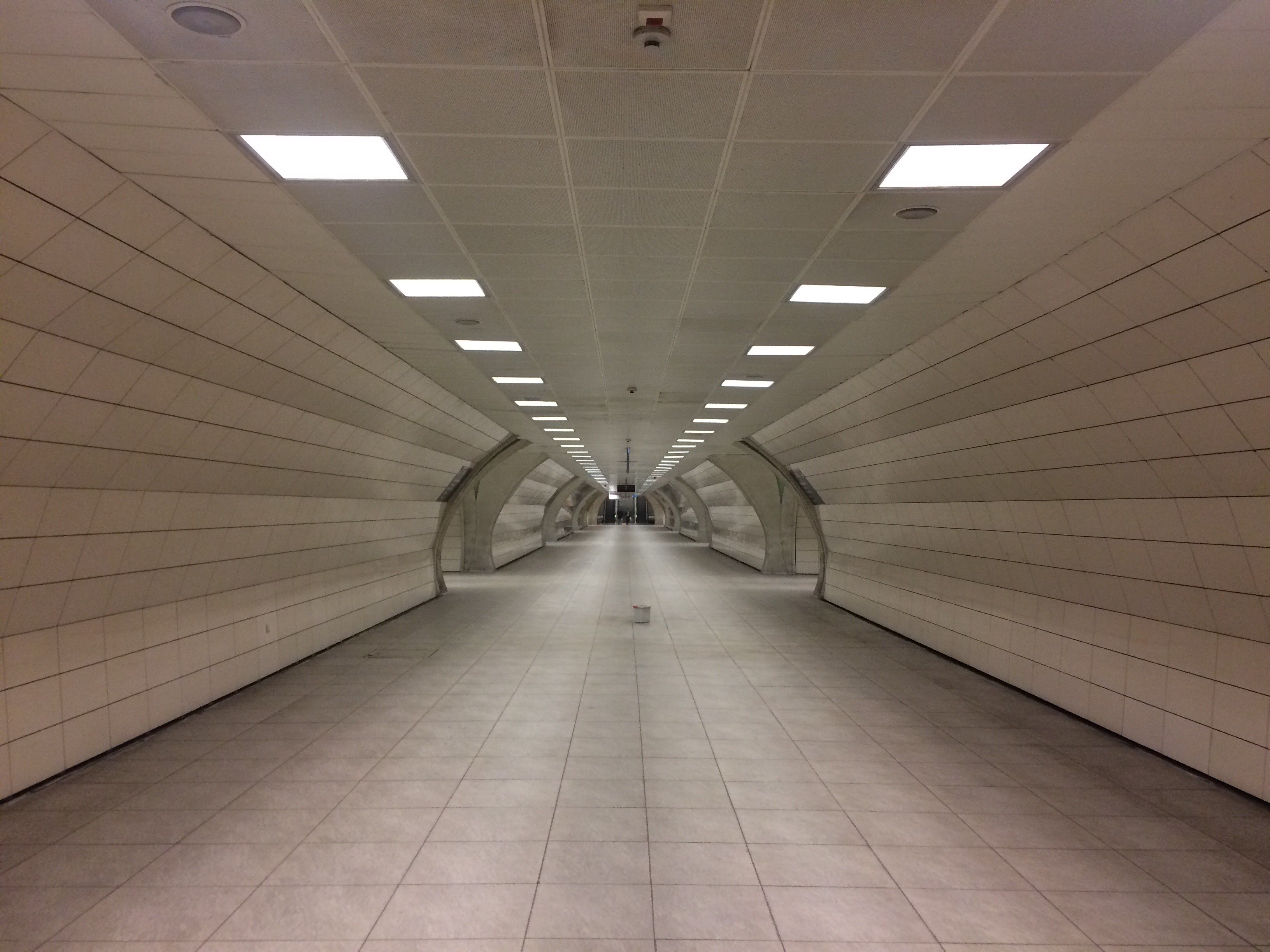 Growth Intelligence - Converging Perspectives